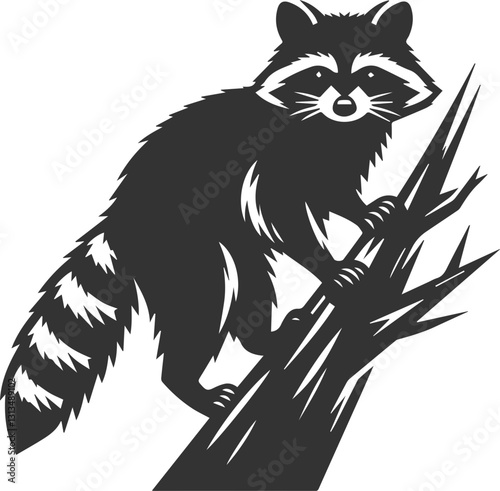 silhouette of a raccoon climbing a tree and looking furious animal vector