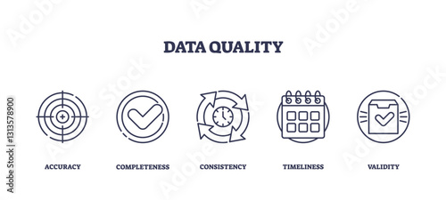 Data Quality icons depict accuracy, completeness, consistency, timeliness, and validity. Outline icons set.