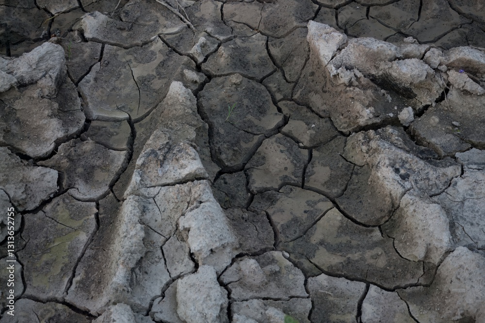 Stark patterns of cracked earth stretch across a dry landscape, showcasing the effects of drought. The surface texture highlights the desolation and lack of moisture in the area. Stark patterns of cracked earth stretch across a dry landscape, showcasing the effects of drought. The surface texture highlights the desolation and lack of moisture in the area.