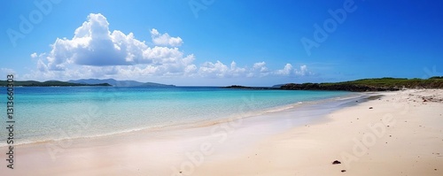 Panoramic aerial view of empty wild tropical beach with palm and ocean with blue sky on sunny summer day.Wide view.AI Generative.