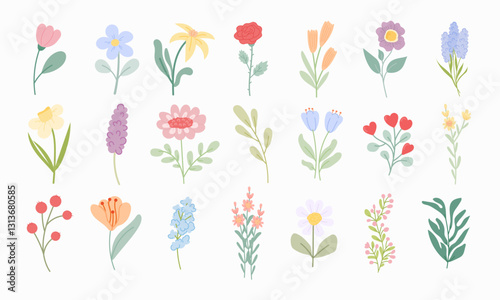 Colorful Hand Drawn Floral Illustrations Set