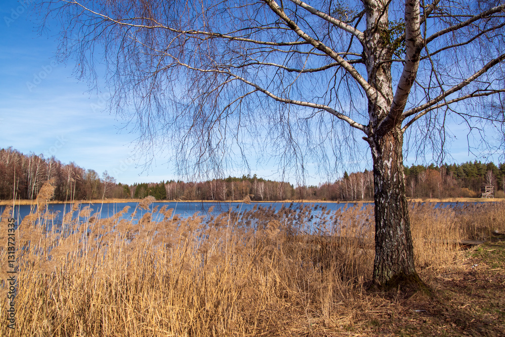 Przedwiośnie nad Zalewem Czapielówka w Puszczy Knyszyńskiej, Podlasie, Polska