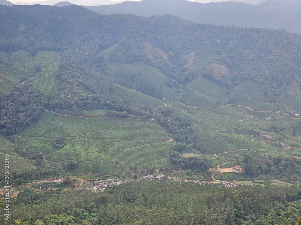 Φωτογραφία Aerial view of the tea Gardens, Tea plantations or tea estates in Munnar, Idukki, Kerala, India