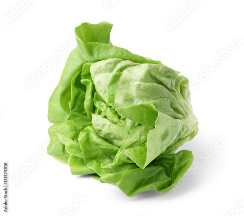 Fresh Boston lettuce on white background