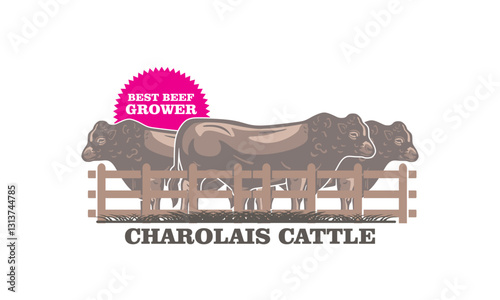 charolais cattle from organic farm, silhouette of great healthy cow at farm vector illustrations