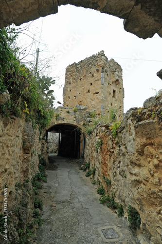 Podobny obraz