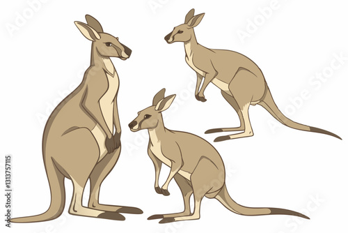 Australian Kangaroo Trio Illustration: An illustrative depiction of a kangaroo family, capturing the animal's unique posture, strength, and presence.