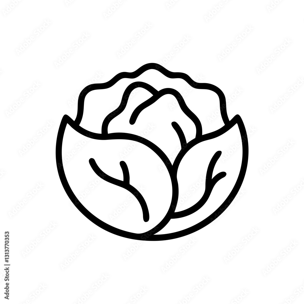 White cabbage icon on simple background White cabbage icon on simple background