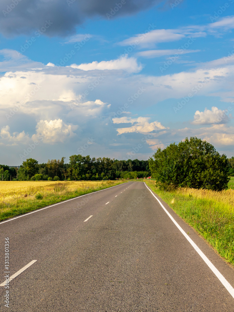 Fototapeta premium Road with a tree on the side and a cloudy sky