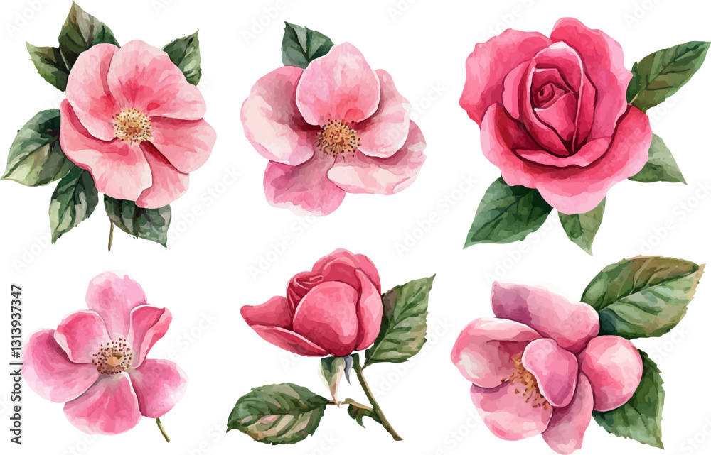set of pink roses vector set of pink roses vector