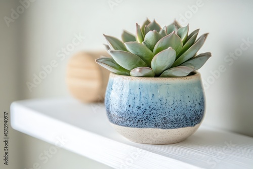 A close-up of a healthy succulent in a hand-painted porcelain vase, sitting on a Scandinavian-style white wooden shelf
