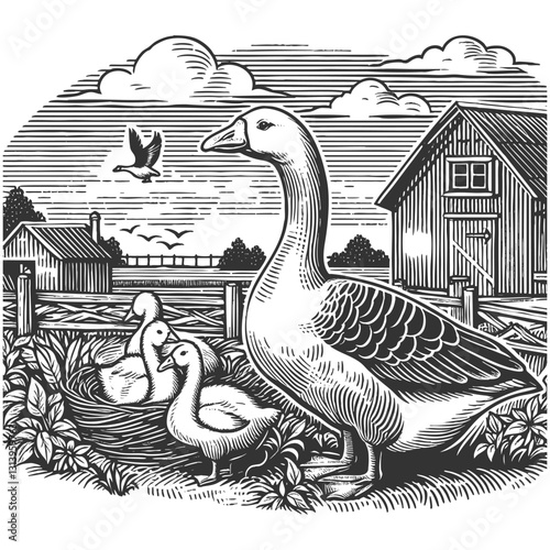 Goose with Ducklings on a Farm vector illustration