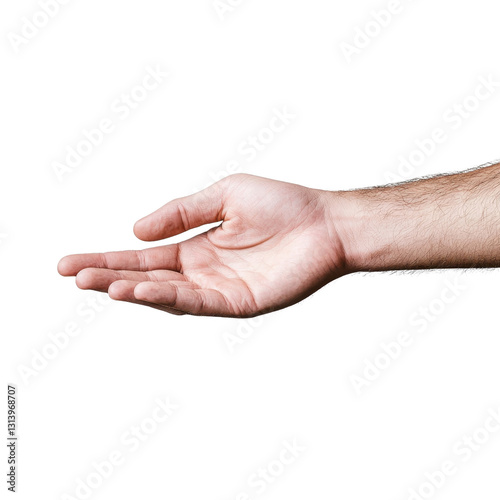 Open hand gesture showcasing willingness to receive or offer with natural skin tone and light shadows, emphasizing warmth and openness in communication