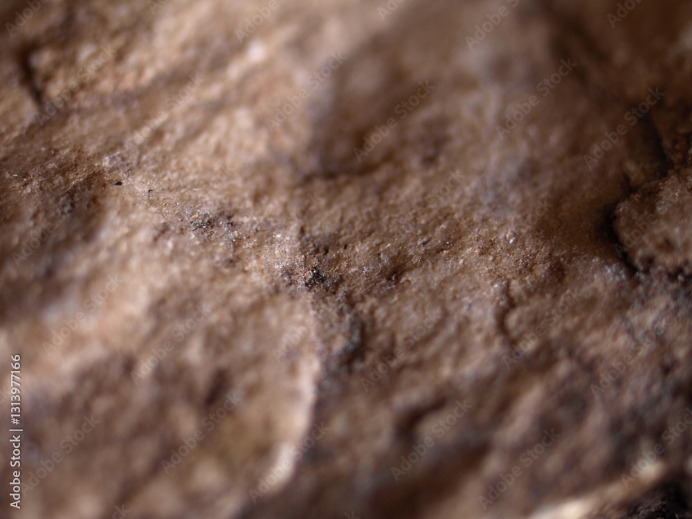 Close-up texture of natural granite stone, showing granular details with a mix of light and dark mineral specks. Close-up texture of natural granite stone, showing granular details with a mix of light and dark mineral specks.