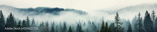 Misty Forest Landscape with Evergreen Trees and Rolling Hills