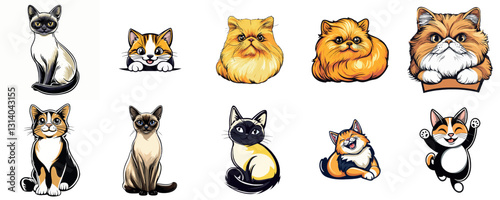Cute Playful Cats and Kittens in Colorful Poses