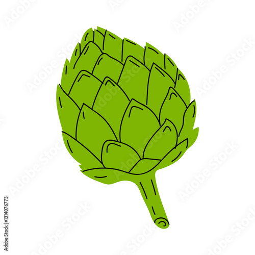 Artichoke illustration showing detailed green leaf structure, hand-drawn style, suitable for culinary or gardening references