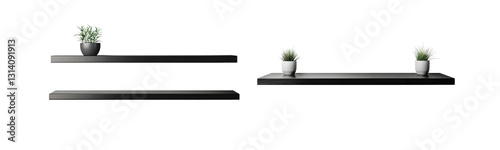 black floating shelves with potted plants on white background
