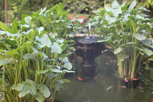 flowers in pots near pond in a garden. scenic view of a beautiful yard closeup. people like luxury lifestyle with the tropical green plants in the residential house. beauty of summer hot day.