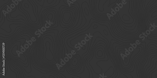 Abstract Contour Mapping Featuring Fluid Wave Curves, Elevation Lines, and Seamless Topographic Patterns for a Modern Cartography Style

