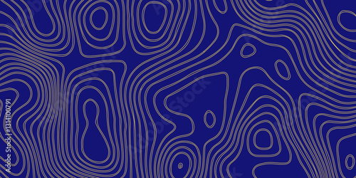  Intricately Designed Topo Contour Line Art with Seamless Integration of Abstract Grid Mapping and Geographic Mountain Representation
