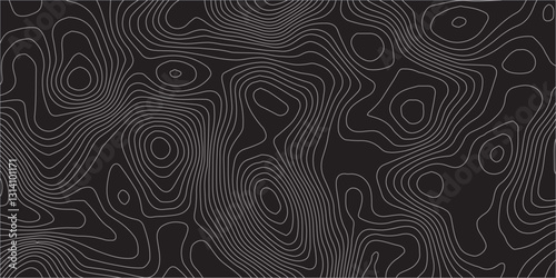 Seamless Topographic Map Design Showcasing Elevation Contours, Geographic Relief, and Fluid Abstract Line Patterns for Mapping Enthusiasts