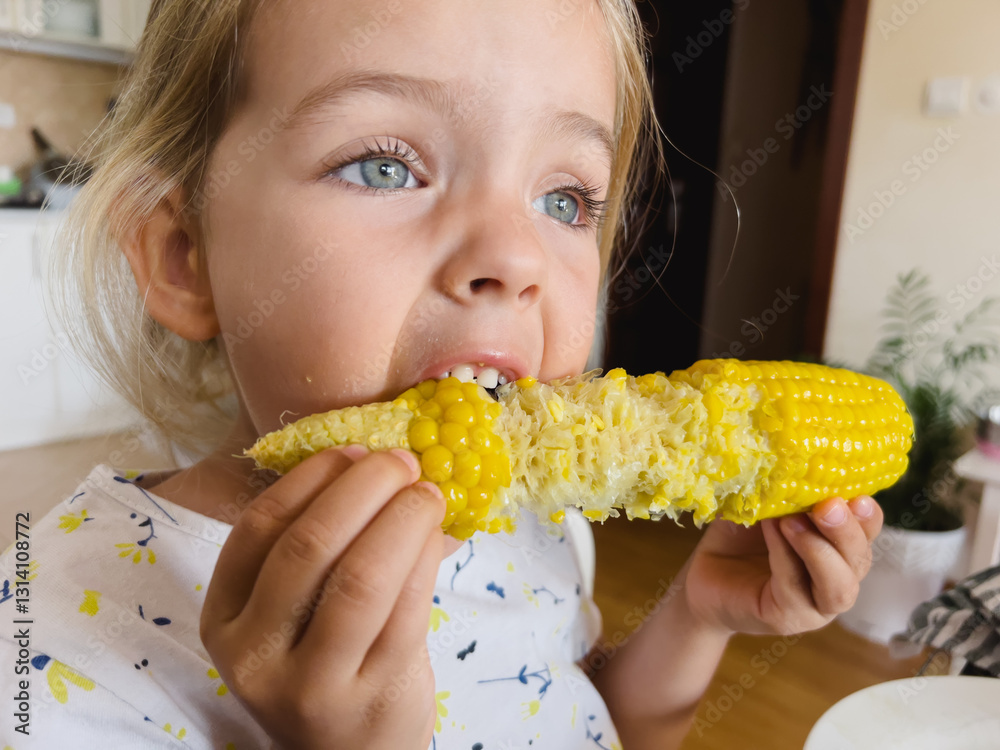 Little girl nibbles on a corncob while sitting at a table in the kitchen Little girl nibbles on a corncob while sitting at a table in the kitchen