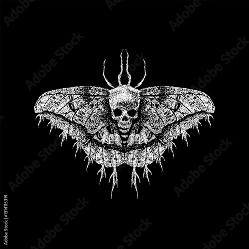 dead moth hand drawing vector isolated on black background.