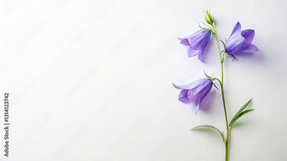 Delicate Campanula Bells Flat Lay – Soft Feminine Floral Background with Copy Space