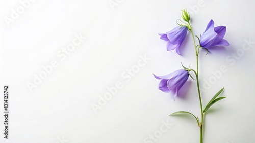Obraz na płótnie Delicate Campanula Bells Flat Lay – Soft Feminine Floral Background with Copy Space w salonie