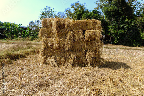 bales of hay
