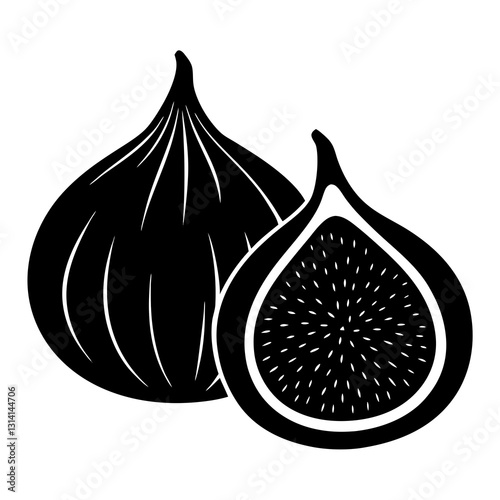 vector illustration of an Fig