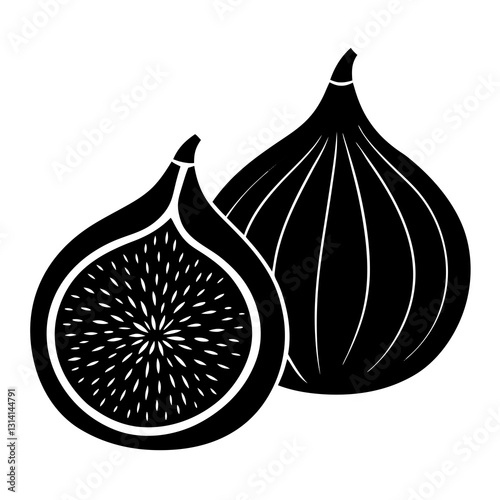 vector illustration of an Fig