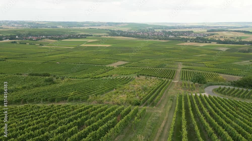 A breathtaking drone shot soaring over the lush vineyards of Germany, making its way towards a picturesque church nestled in the mountains. A breathtaking drone shot soaring over the lush vineyards of Germany, making its way towards a picturesque church nestled in the mountains.