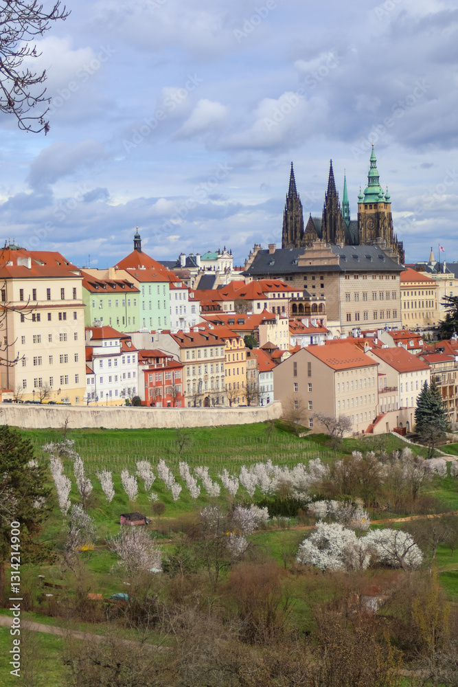 Obraz premium Prague, view of Prague Castle through a blooming orchard. Czech Republic Vertical photo