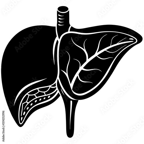 Minimalist Human Liver Vector silhouette Icon for Medical Graphics.