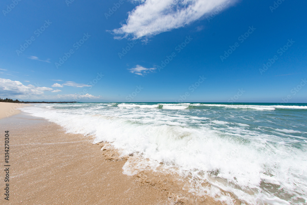 南国の海 南国の海