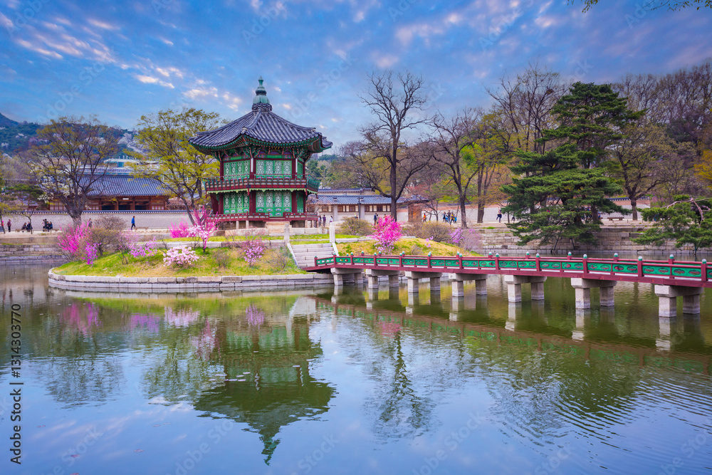 Fototapeta premium Gyeongbokgung palace with cherry blossom tree in spring time in Seoul, South Korea.