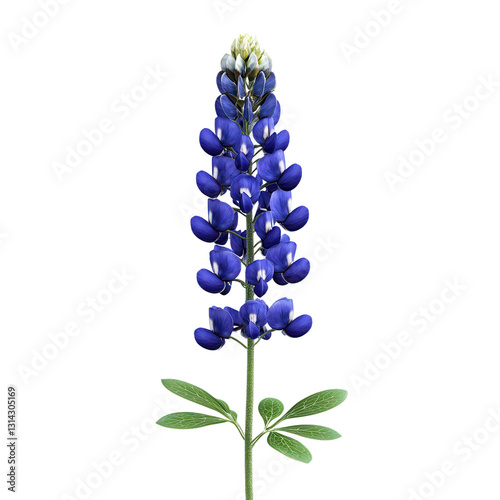 Texas Bluebonnet: A vibrant Texas bluebonnet displays its rich blue and green foliage, a symbol of the state's natural beauty