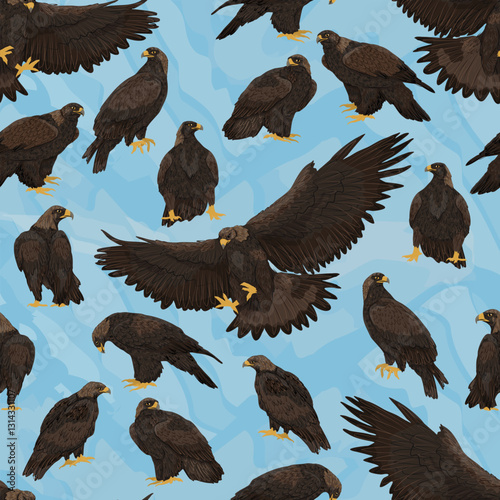 Seamless pattern with golden eagles Aquila chrysaetos. Golden eagles sitting and flying. Wild bird of prey of the Northern Hemisphere. Realistic vector animal