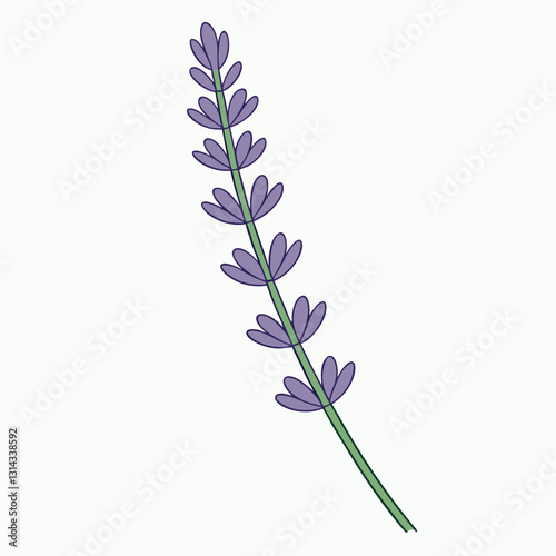 A lavender stalk with tiny blossoms along.