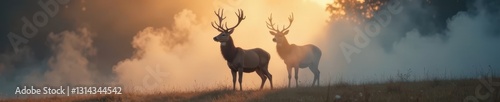 Majestic deer emerges from swirling mist, antlers held high, light, creature, wild