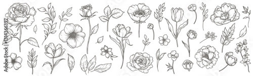 Flower, Leaf, Branch Set in line art style. Floral elements pattern hand drawn. Vector illustration for frame, postcard, greetings, logo, wedding decor, save date, tattoo