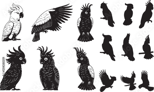 Cockatoo Silhouettes