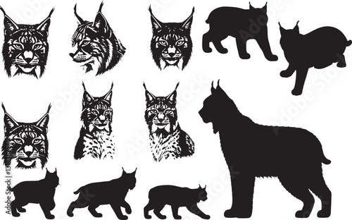 Lynx Silhouette