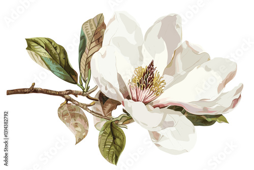 Watercolor illustration with blooming pink magnolia flowers and branches.
