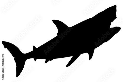 Silhouette of a shark isolated on white background. Vector illustration of a shark icon, symbol, logo, or sign. Editable and scalable EPS file for graphic design use.
