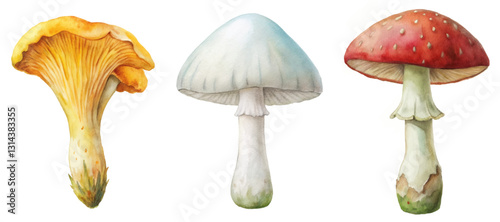 watercolor mushrooms, colorful fungi, artistic illustration, nature theme, botanical art, edible varieties, fine details