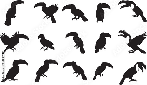 Toucan Silhouette Set