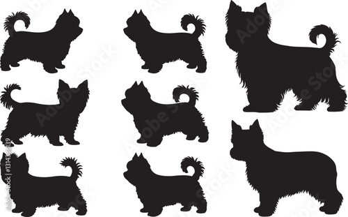 Yorkshire Terrier Silhouette